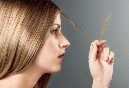Восстановление волос после выпадения. Традиционные и народные способы восстановления волос